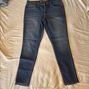 Universal Thread Blue Skinny Jeans Classic Fit